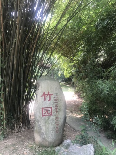 武汉大学信息学部-竹园旅行图片 1