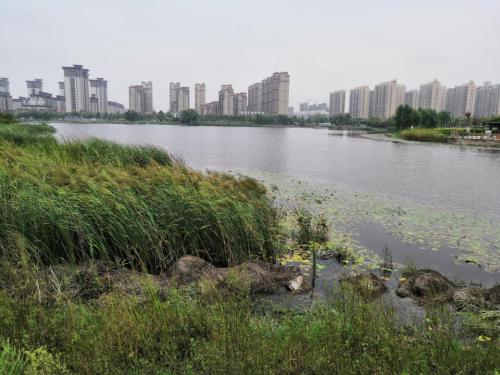 扶沟县人民公园旅行图片 3