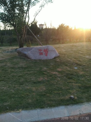 槐花村公园旅行图片 3