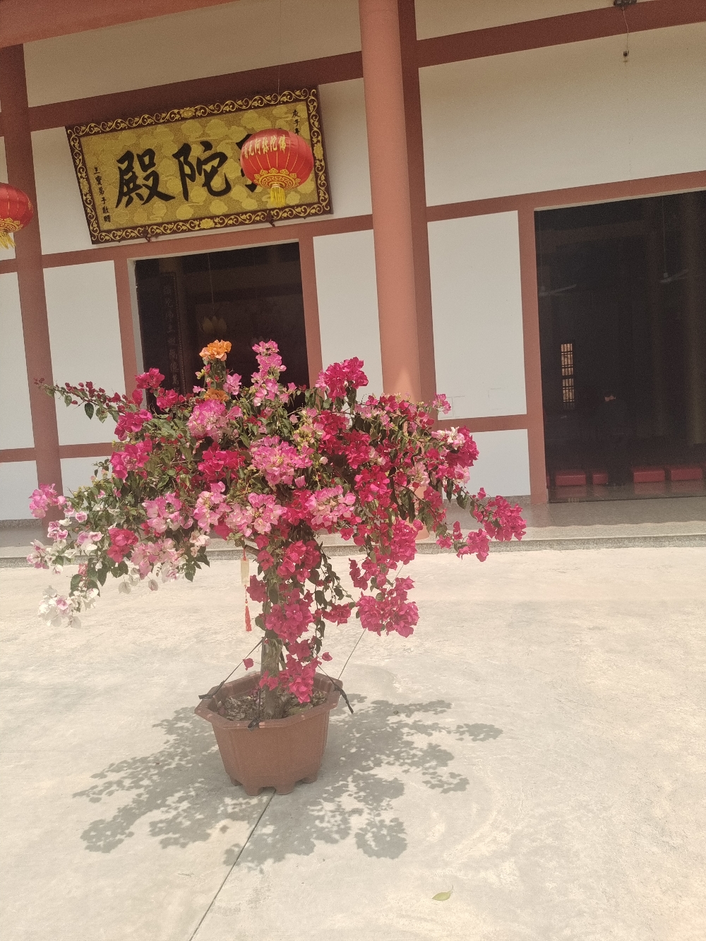 白云山广慈寺实景照片