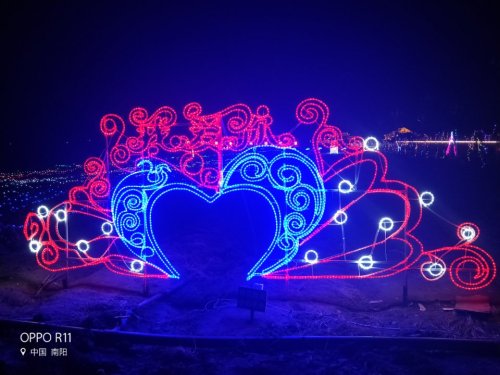 花海水乡旅行图片 3
