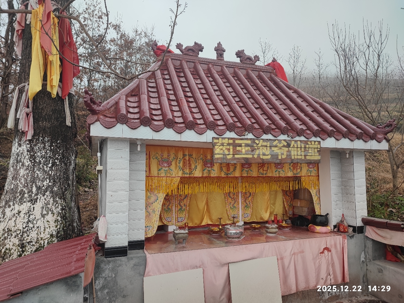 药王泡爷仙堂实景照片