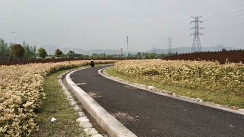 紫薇主题公园旅行图片 3