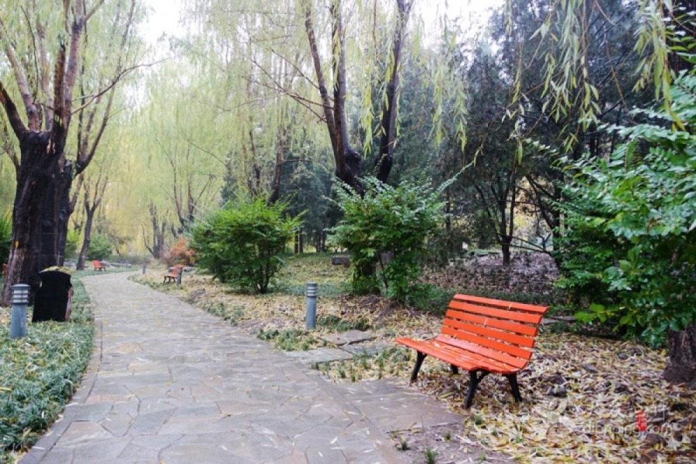 柳荫公园景点图片