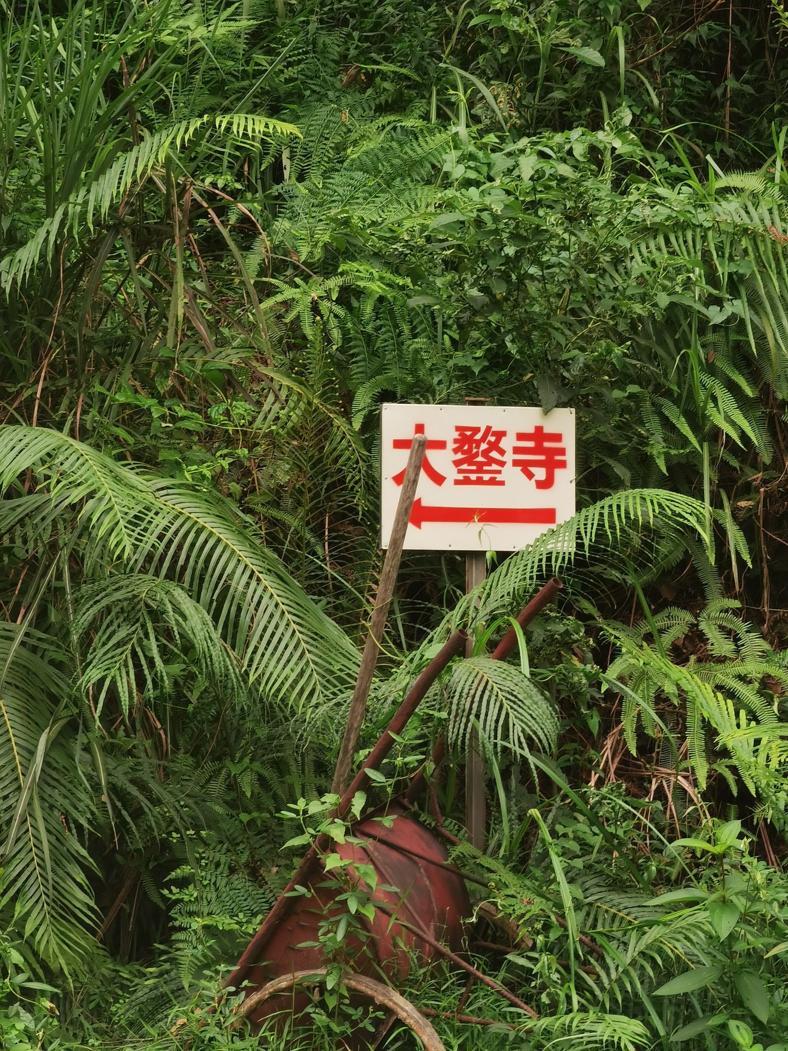 大鍪庵实景照片