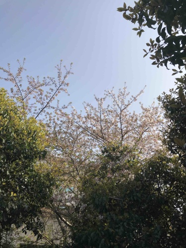 新成公园旅行图片 2