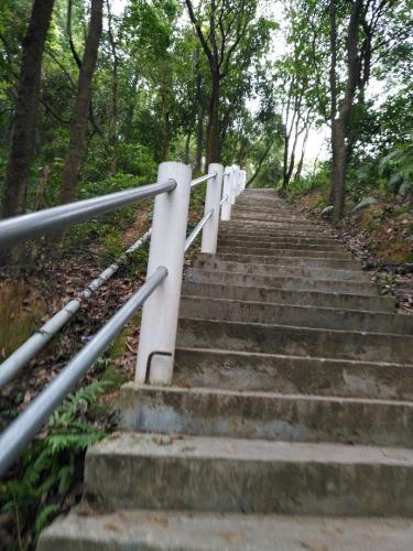诚联公园旅行图片 3