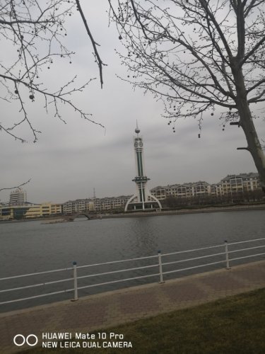 元宝湖公园旅行图片 2