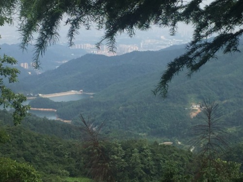 大孤山旅行图片 3