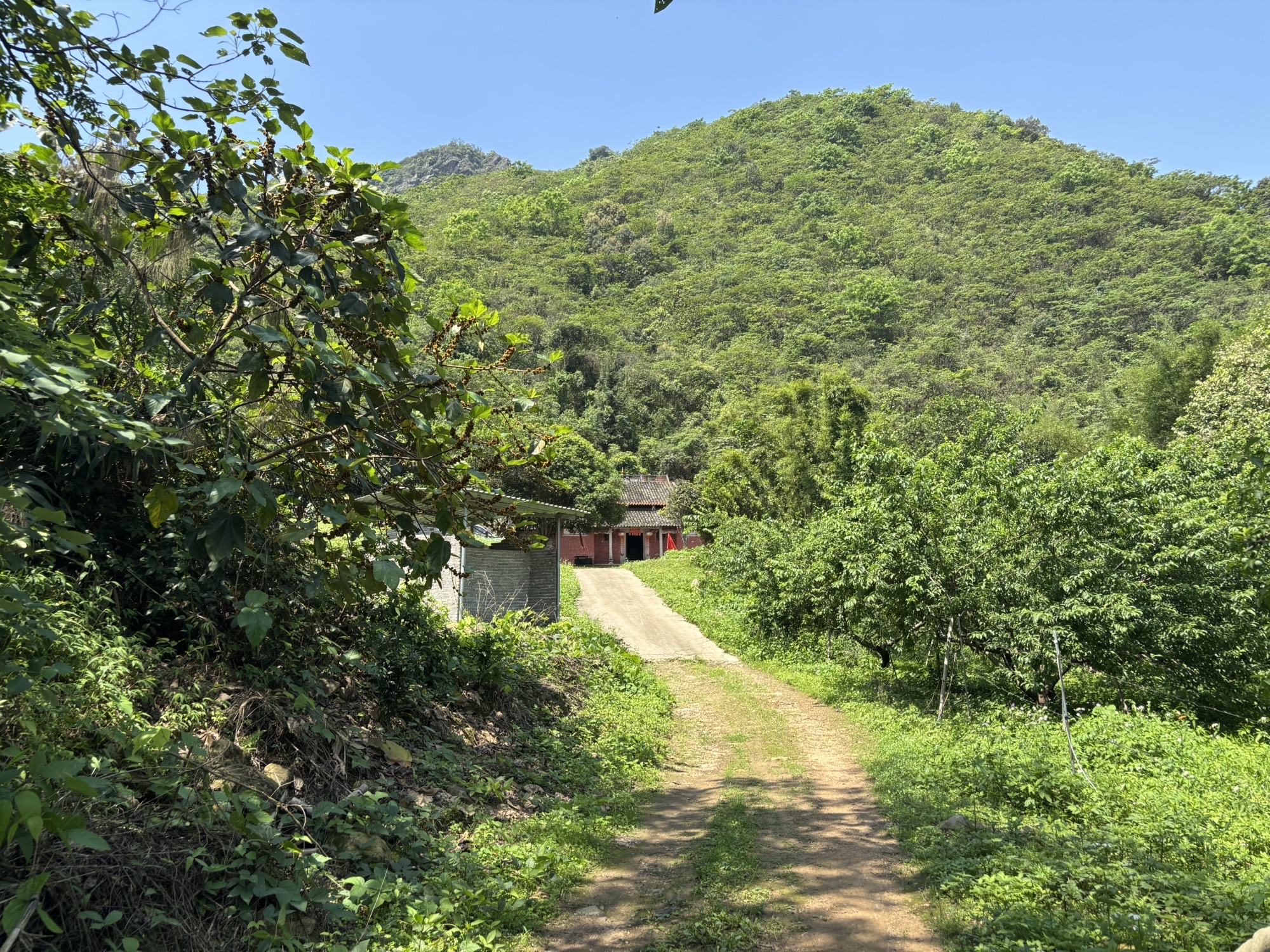 青松庙实景照片