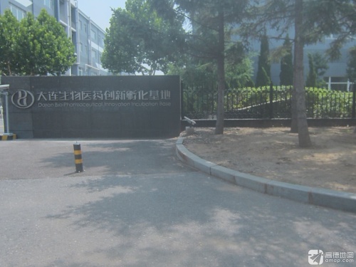 大连生物医药创新孵化基地(双D港五街)实景图
