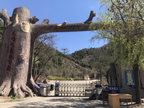 九峰山森林公园旅行图片 2