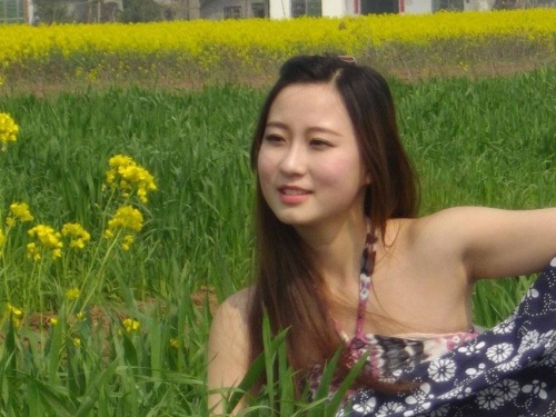 金色花海旅行图片 1