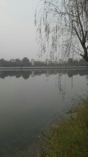 碧莲湖公园旅行图片 1