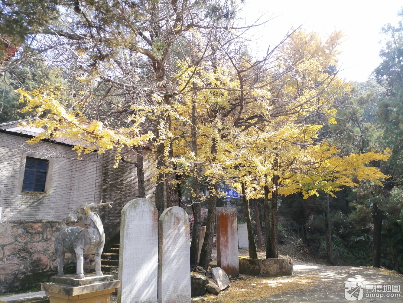普照寺实景照片