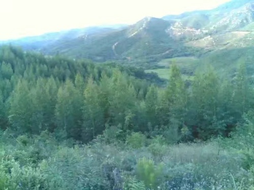 田心水寨景区旅行图片 1