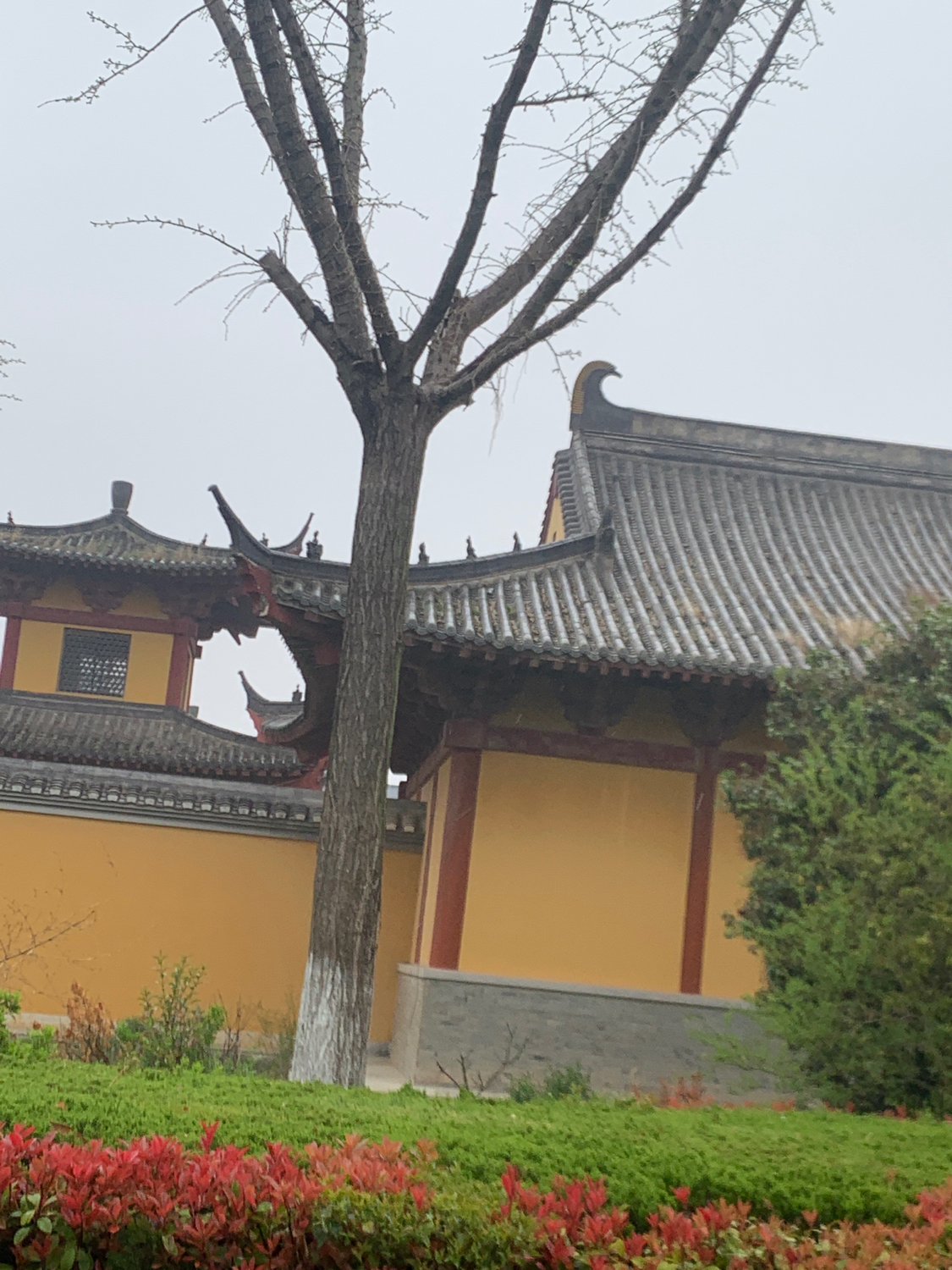 文殊殿实景照片