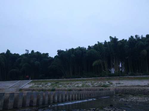 锦江鸳鸯岛旅行图片 1