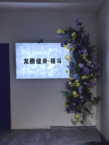 龙腾健身