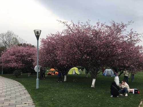 银岸草暖园旅行图片 2