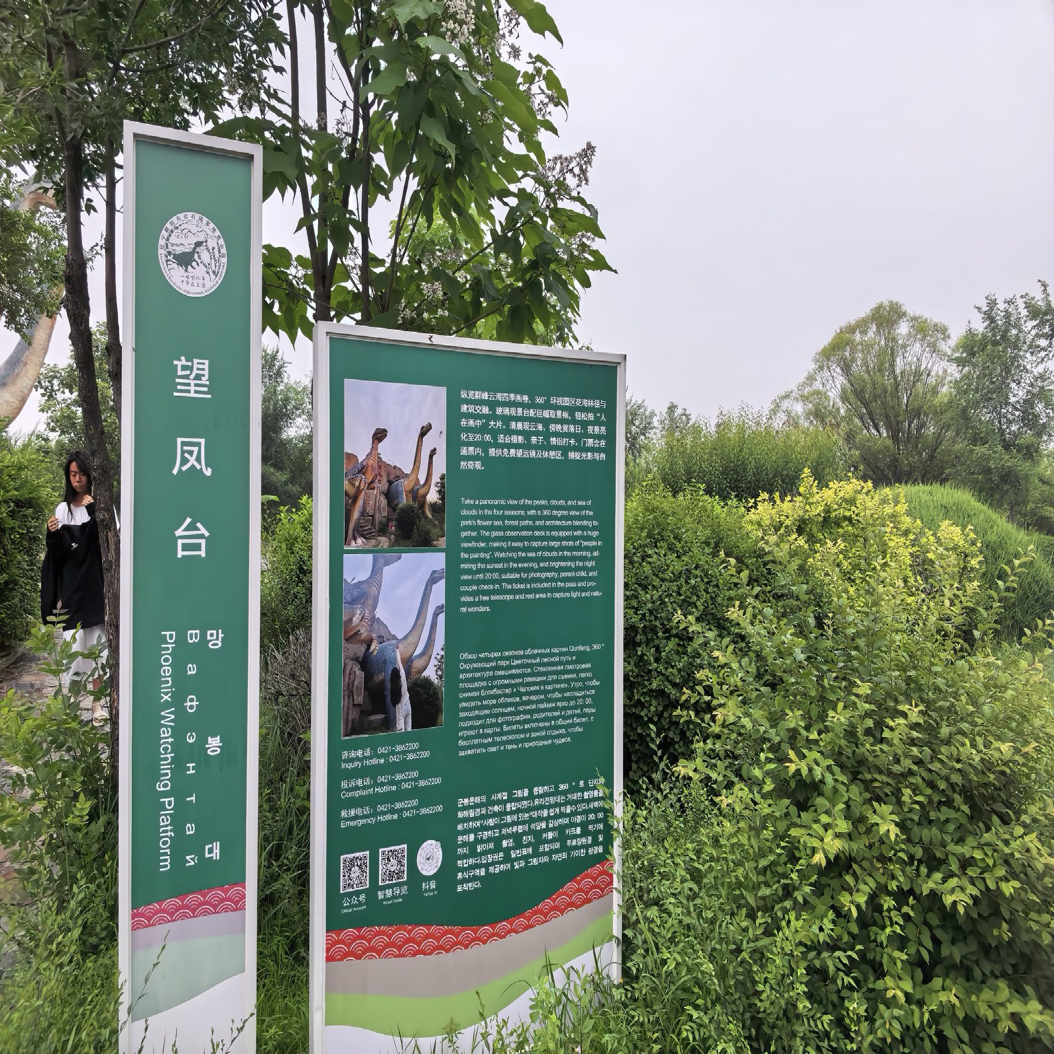 望凤台