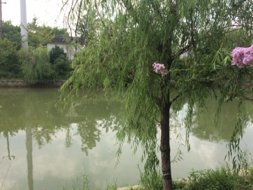 王道公园(泰美)旅行图片 2