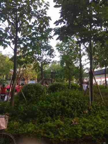滨河公园旅行图片 3