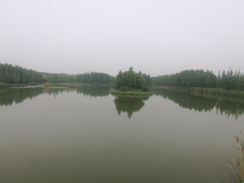 上海西郊淀山湖湿地旅行图片 2