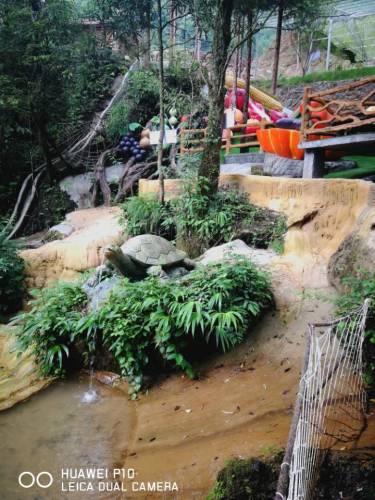 猴山飞瀑(暂停开放)旅行图片 1