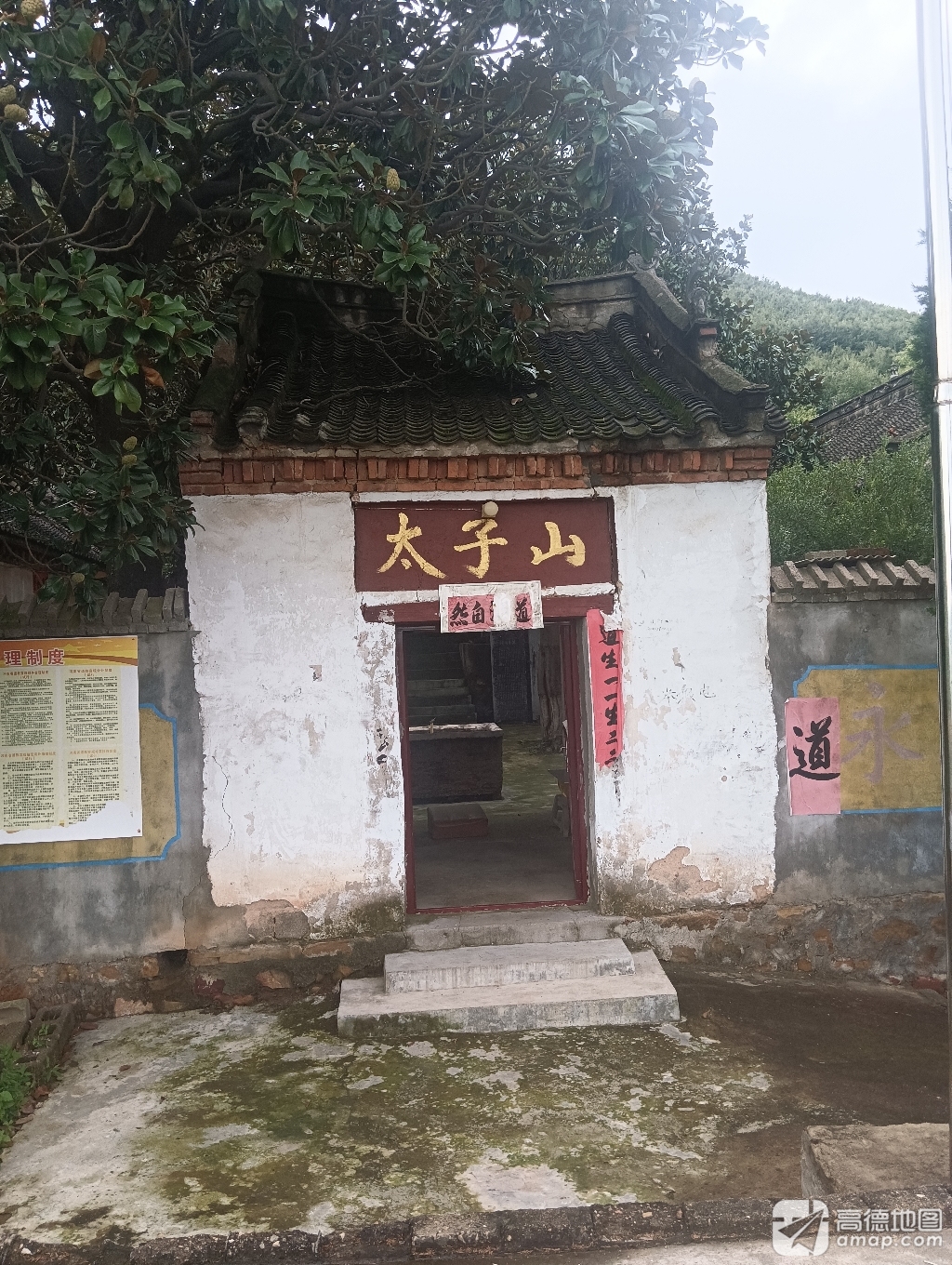 太子山祖师庙实景照片
