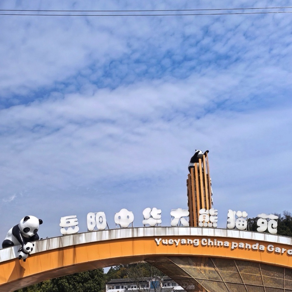 岳阳中华大熊猫苑景点图片