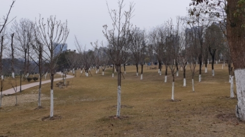 威远湿地公园旅行图片 3