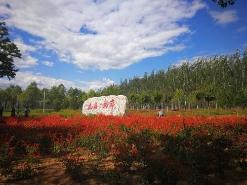 四季花海·画廊旅行图片 3