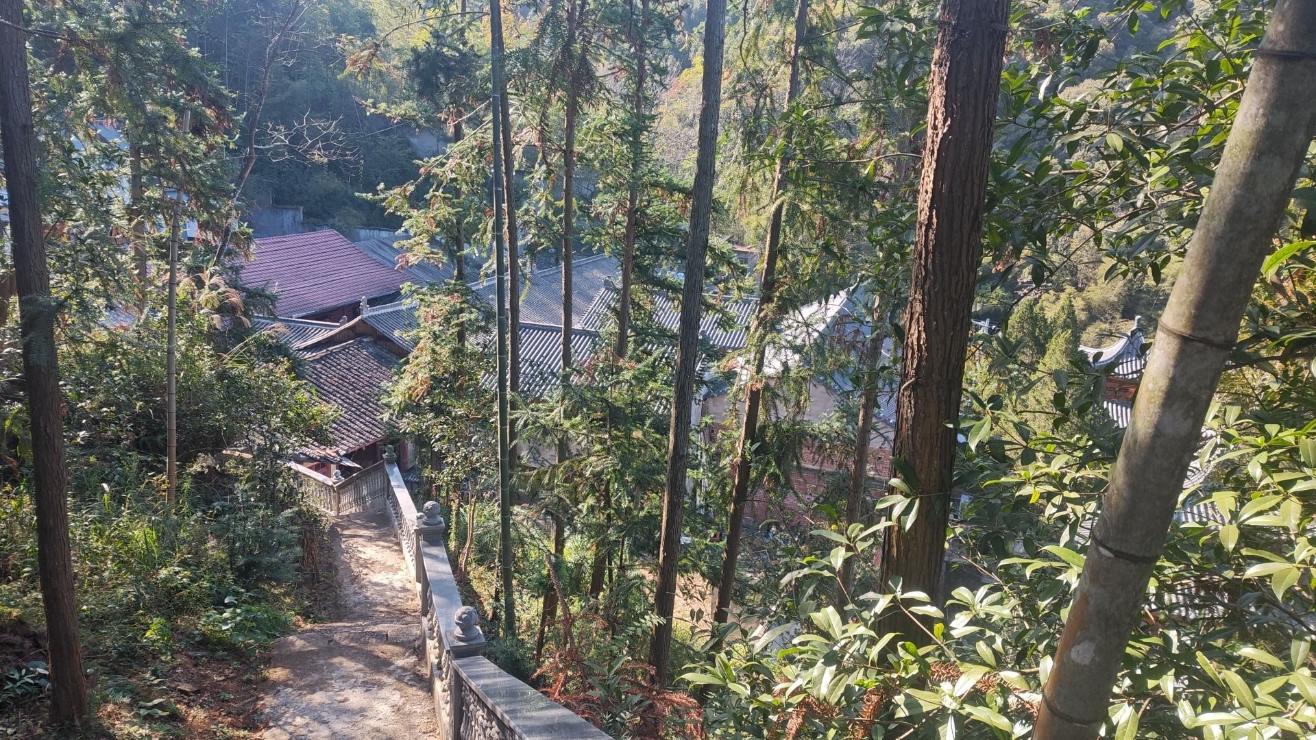 大觉寺实景照片