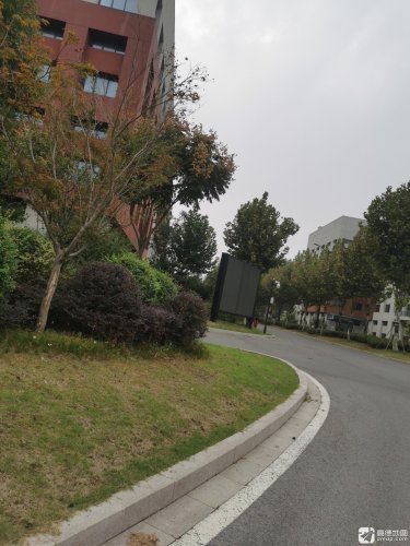 中国医药城5期实景图（3）