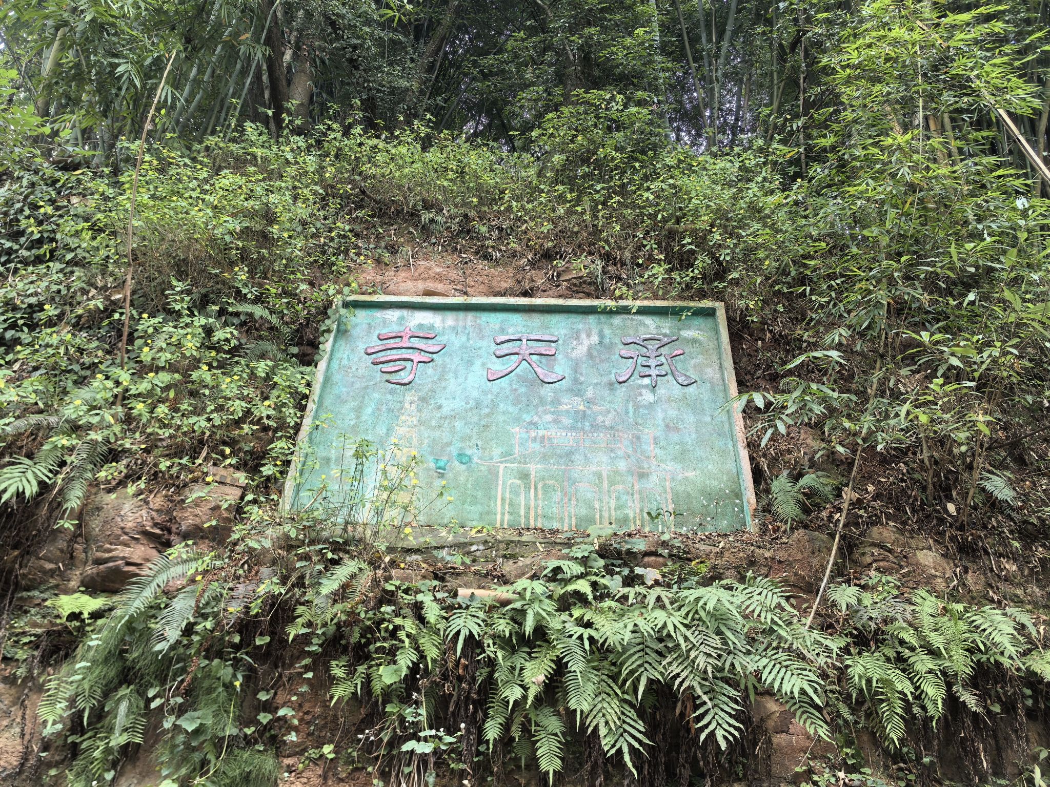 承天寺实景照片