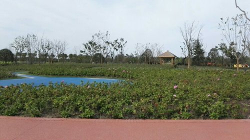 逸趣·沙洲玫瑰庄园旅行图片 3
