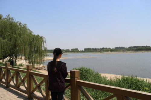 寿光滨河城市湿地公园旅行图片 3