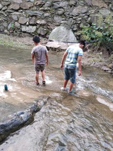栾川天宇红豆杉景区旅行图片 1