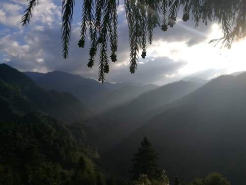 花坪自然保护区旅行图片 2