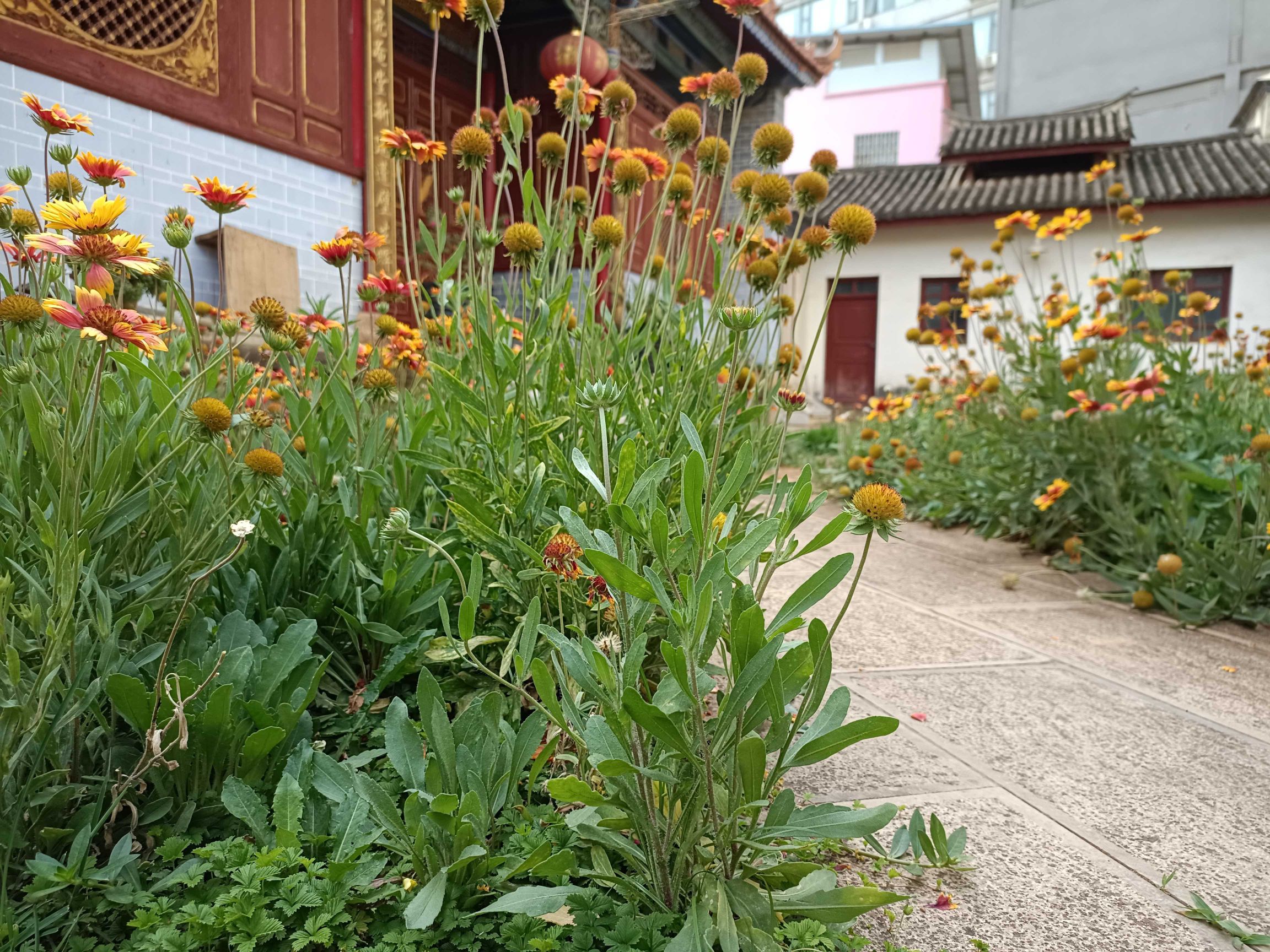 崇义寺实景照片