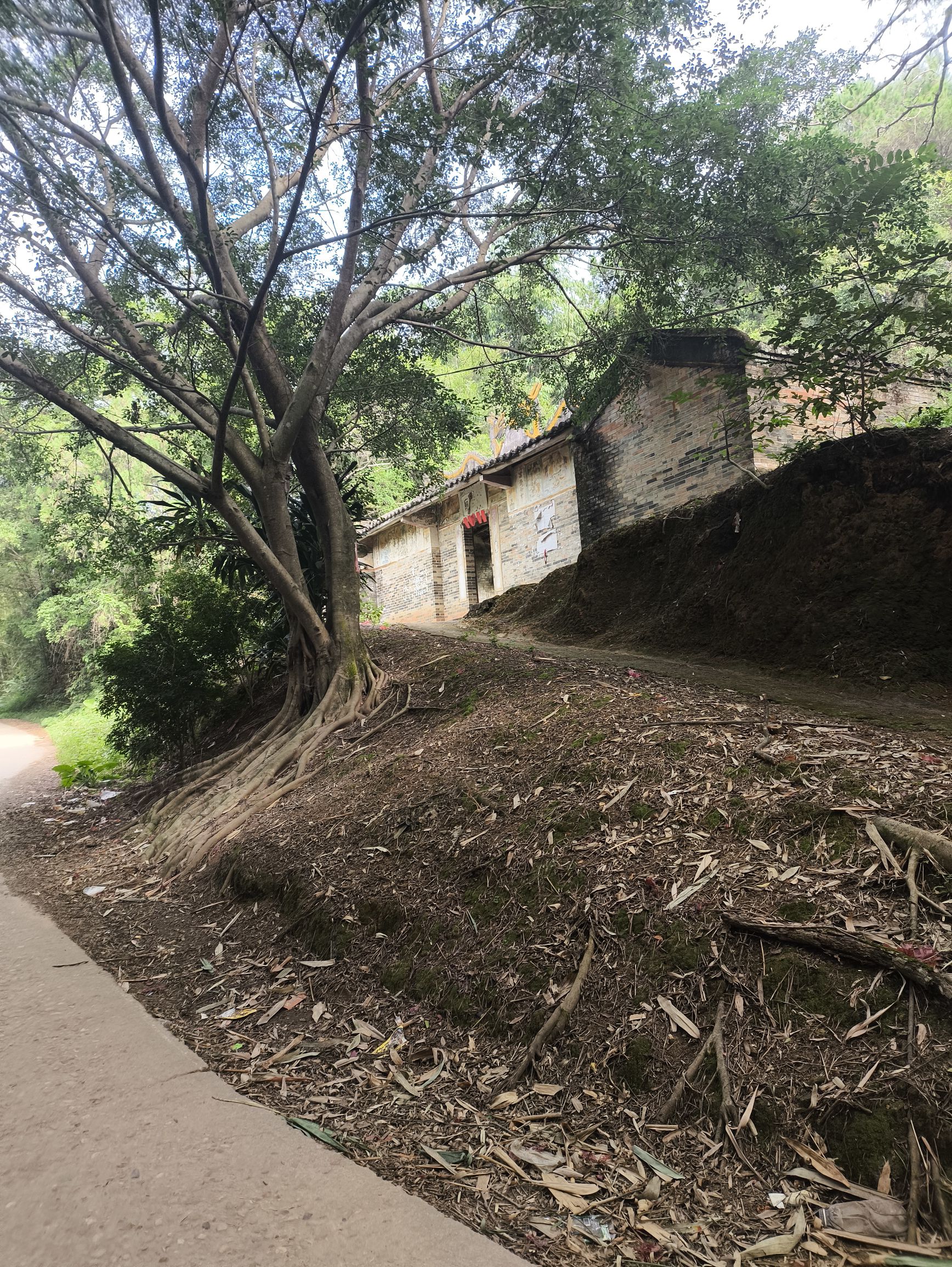 篁村庙实景照片