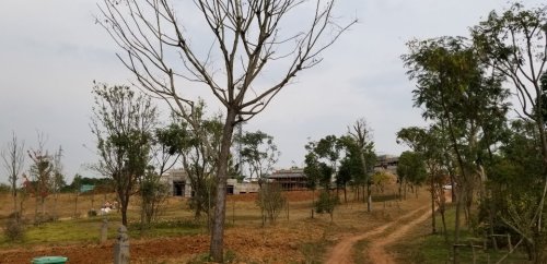 庐州文化村旅行图片 1