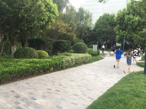 全民健身主题公园旅行图片 3