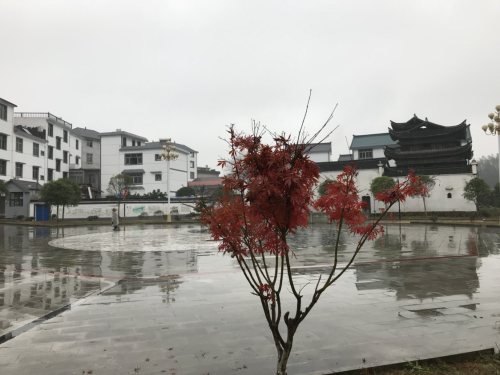 文昌阁旅行图片 2