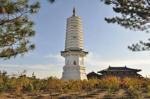 泽州园旅行图片 1