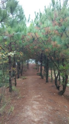灵翠山公园旅行图片 1