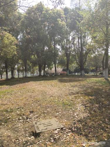 三里桥生态公园旅行图片 2