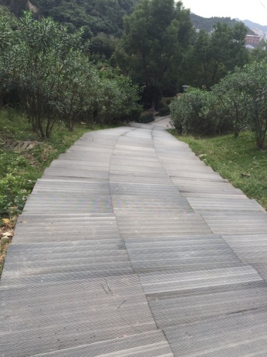 黄石公园旅行图片 1