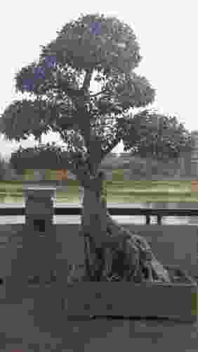 河岛公园旅行图片 1